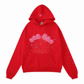 🕸️   Hoodie Red/Pink