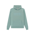 E-S Teal Hoodie